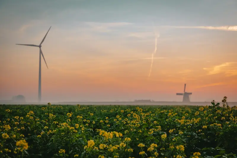 Aggregaat huren of kopen bij stroomstoring: kosten &