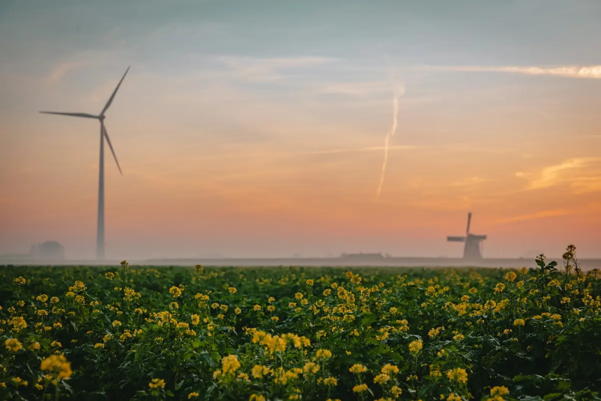 Aggregaat huren of kopen bij stroomstoring: kosten &