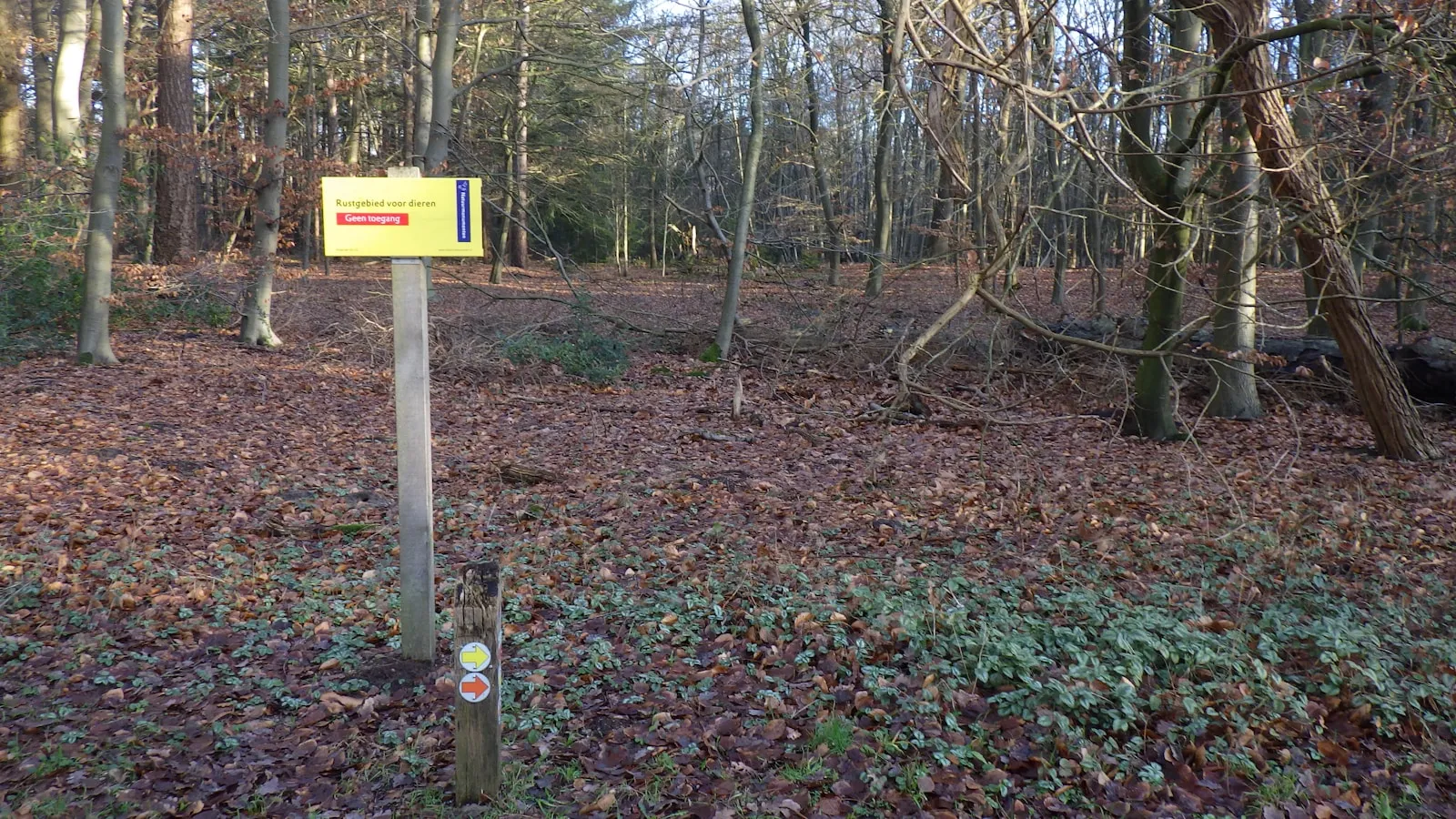 Noodstroom camping Gelderland: aggregaat of net?