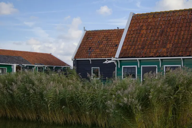 Noodstroom tiny house Gelderland: opties & kosten